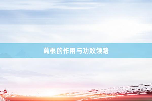 葛根的作用与功效领路